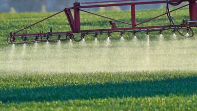 Warum Glyphosat umstritten bleibt
