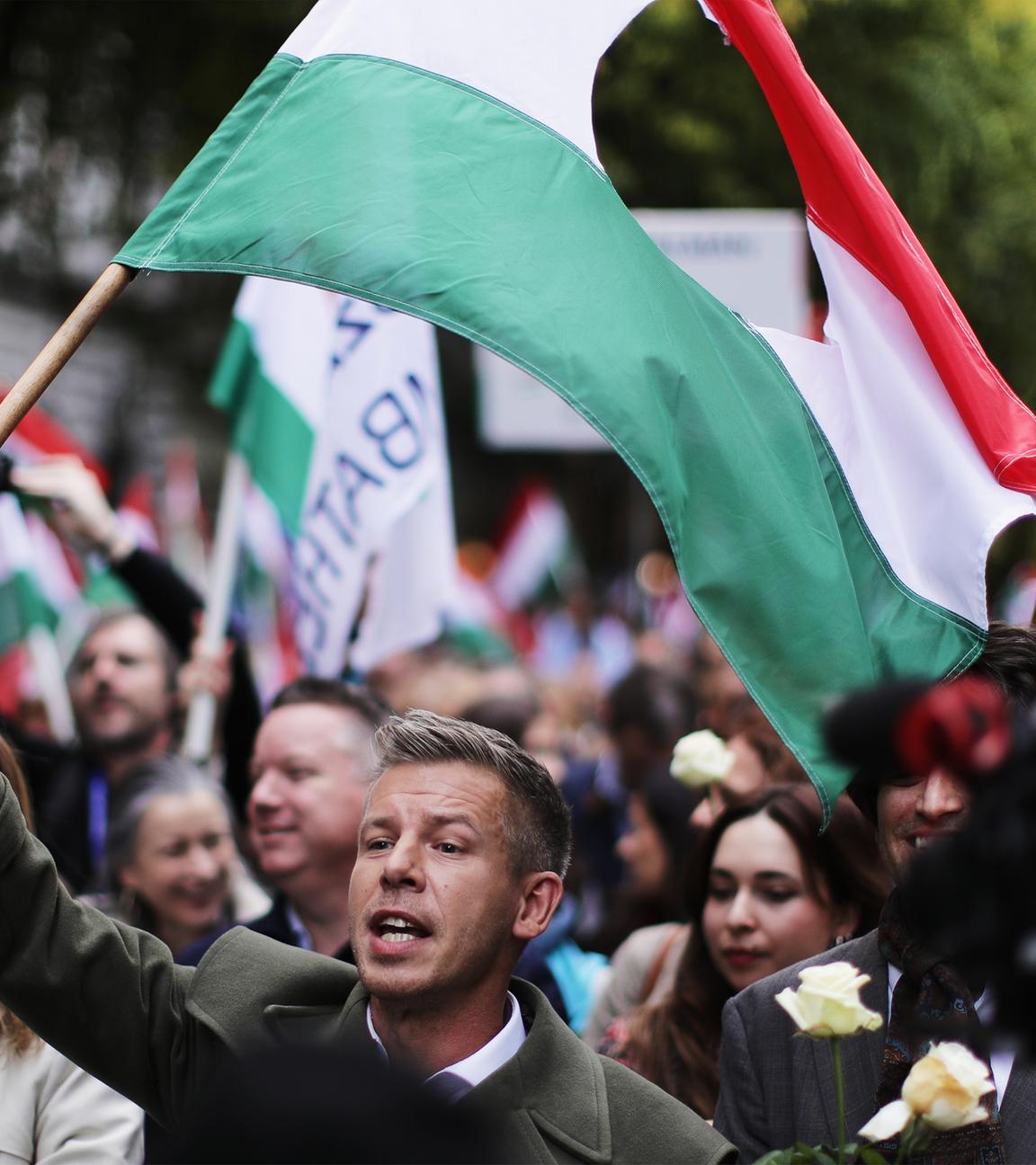 Ein Mann der eine Fahne hält läuft bei einer Demonstration mit.