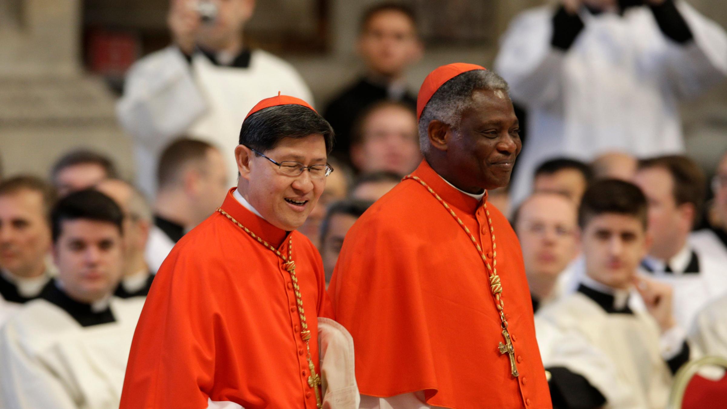 Peter Turkson, Kurienkardinal aus Ghana