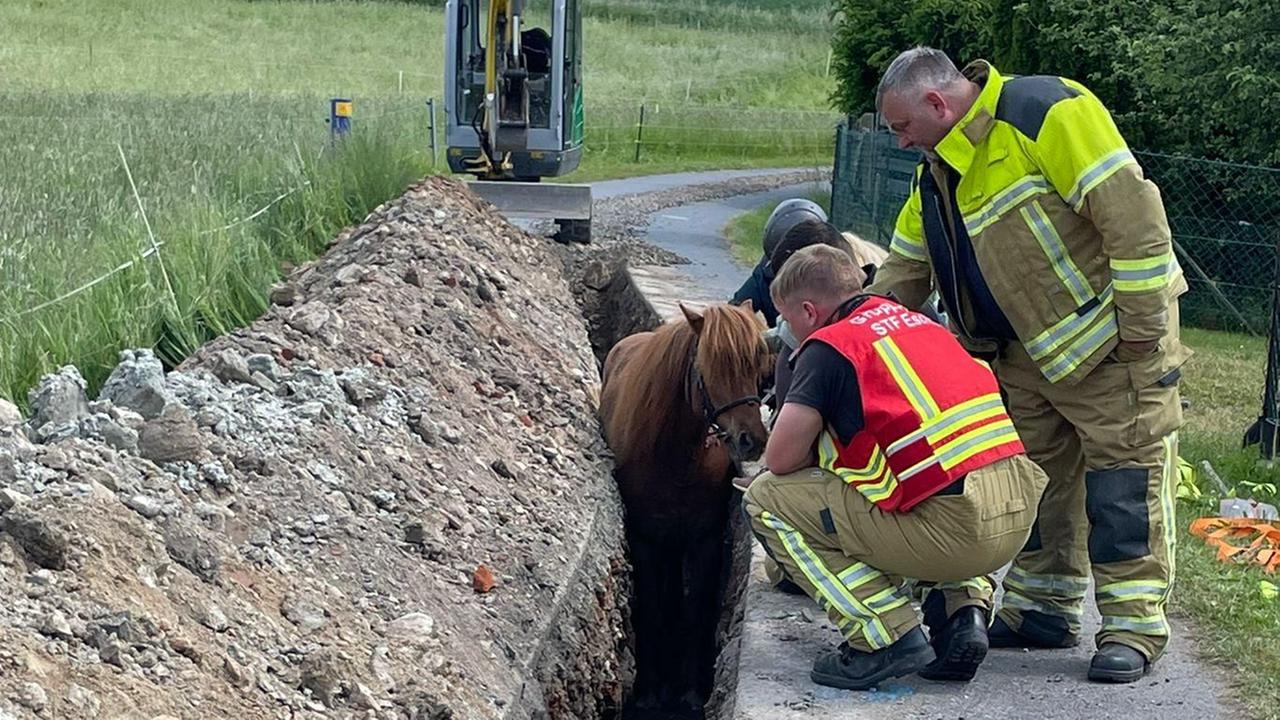 Einsatzkräfte der Feuerwehr kümmern sich um ein Pferd in einem Graben in Eschdorf, Sachsen.
