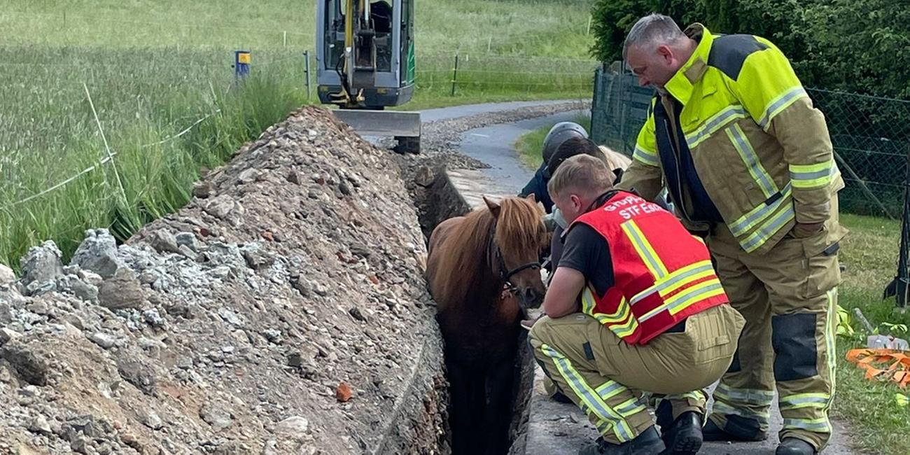 Einsatzkräfte der Feuerwehr kümmern sich um ein Pferd in einem Graben in Eschdorf, Sachsen.