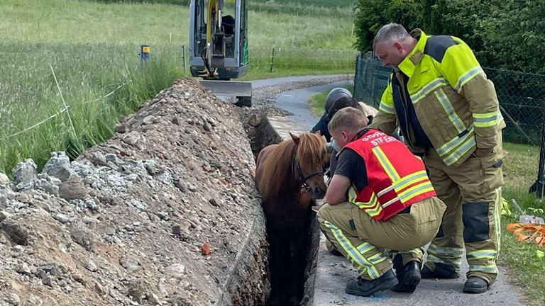 Einsatzkräfte der Feuerwehr kümmern sich um ein Pferd in einem Graben in Eschdorf, Sachsen.