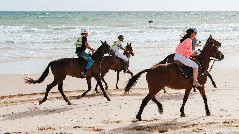 Rennpferde am Strand