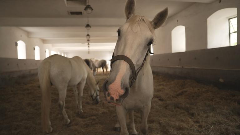 UNESCO-Weltkulturerbe in Tschechien
