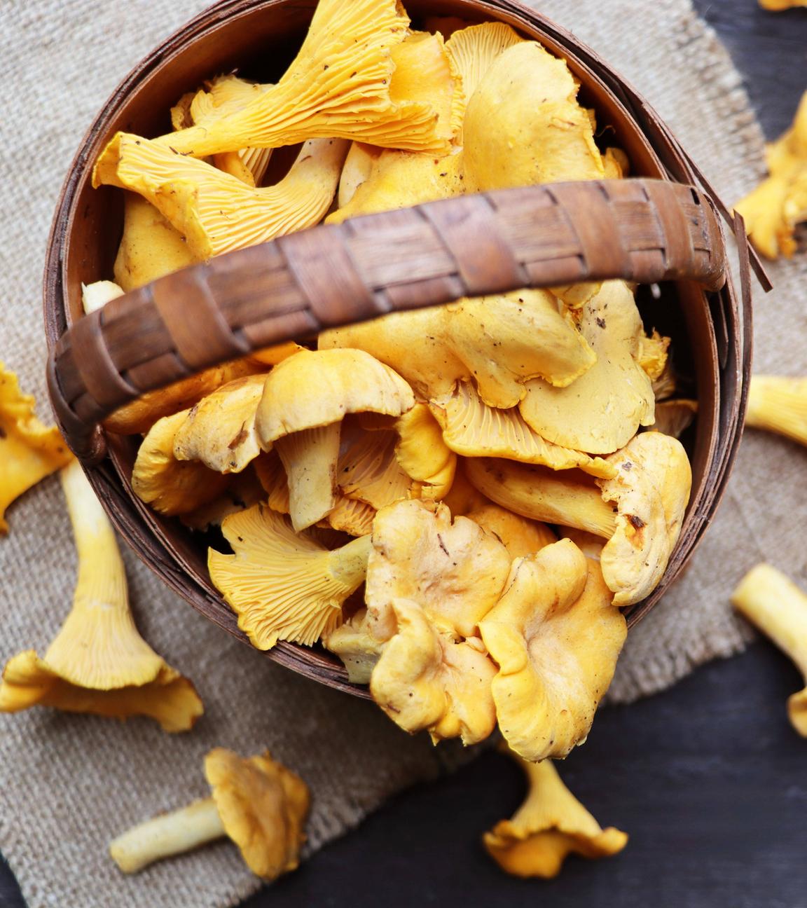 Pfifferlinge in einem Korb