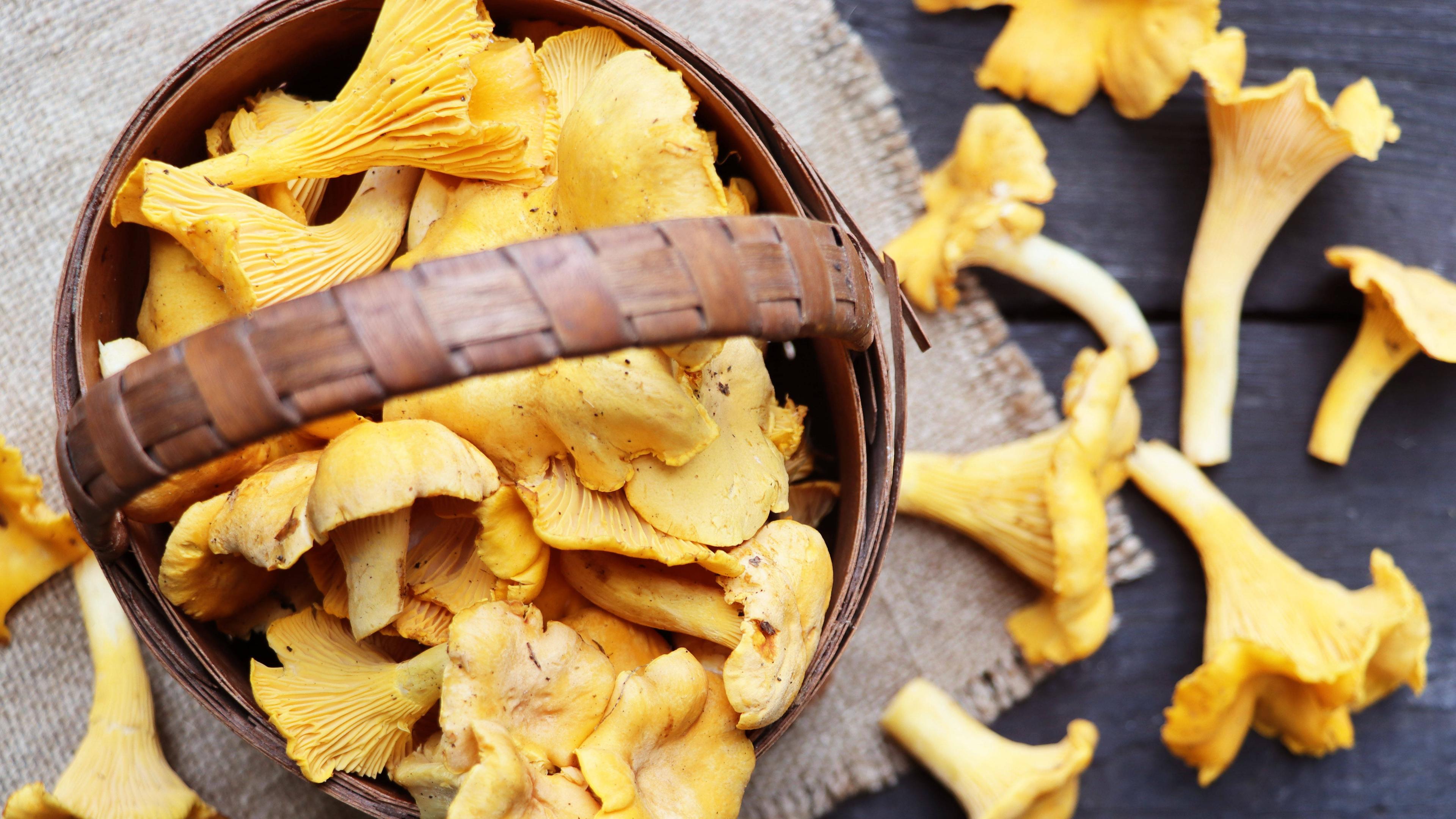 Pfifferlinge in einem Korb