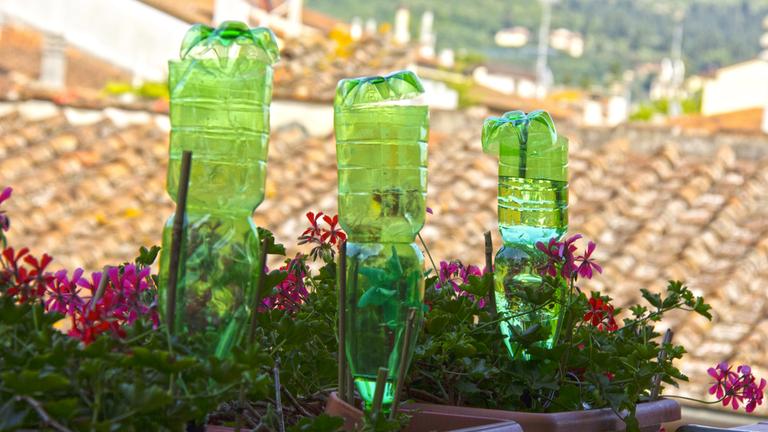 Blick auf einen Balkon, auf dem in drei Topfpflanzen Plastikflaschen zur Bewässerung stecken.