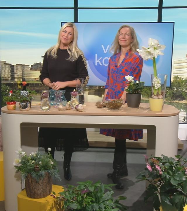Nadine Krüger und Anja Koenzen mit Pflanzen im "Volle Kanne"-Studio