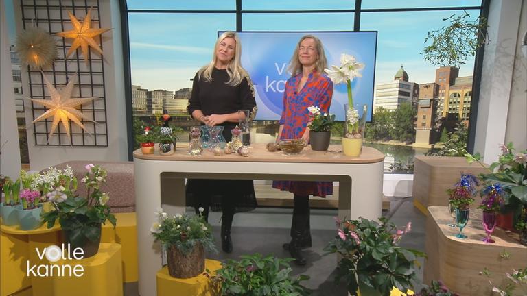 Nadine Krüger und Anja Koenzen mit Pflanzen im "Volle Kanne"-Studio