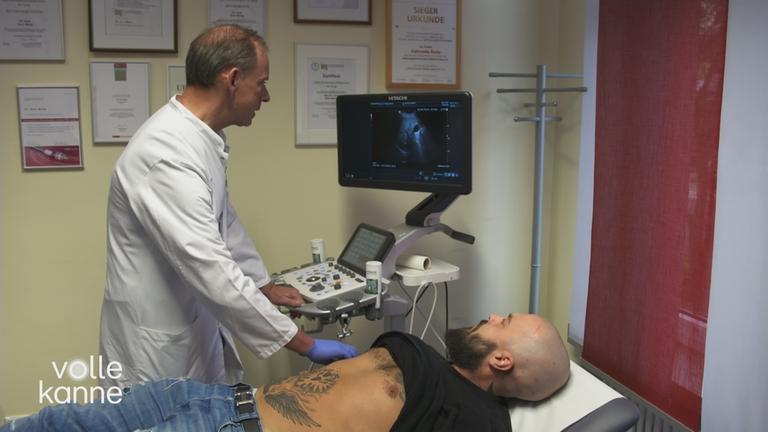 Pflanzliche Arzneimittel gegen Fettleber