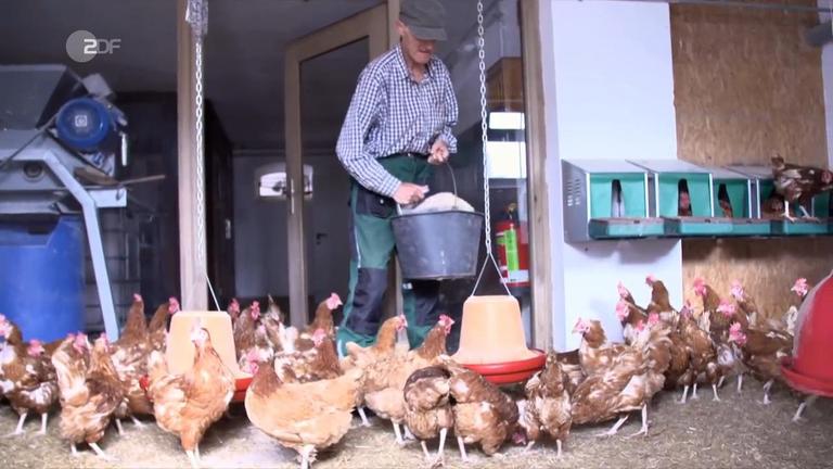Rentner auf dem Bauernhof