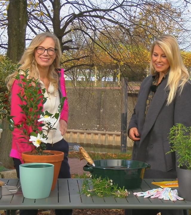 Anja Koenzen mit Nadine Krüger im "Volle Kanne"-Garten an einem Tisch mit Pflanzen