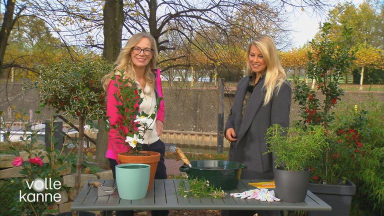 Anja Koenzen mit Nadine Krüger im "Volle Kanne"-Garten an einem Tisch mit Pflanzen