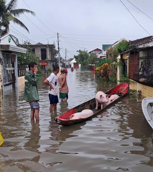 Es ist der zweite Taifun innerhalb einer Woche: „Fung Wong“ hat mit Windgeschwindkeiten von bis zu 230 Kilometern schwere Schäden verursacht,