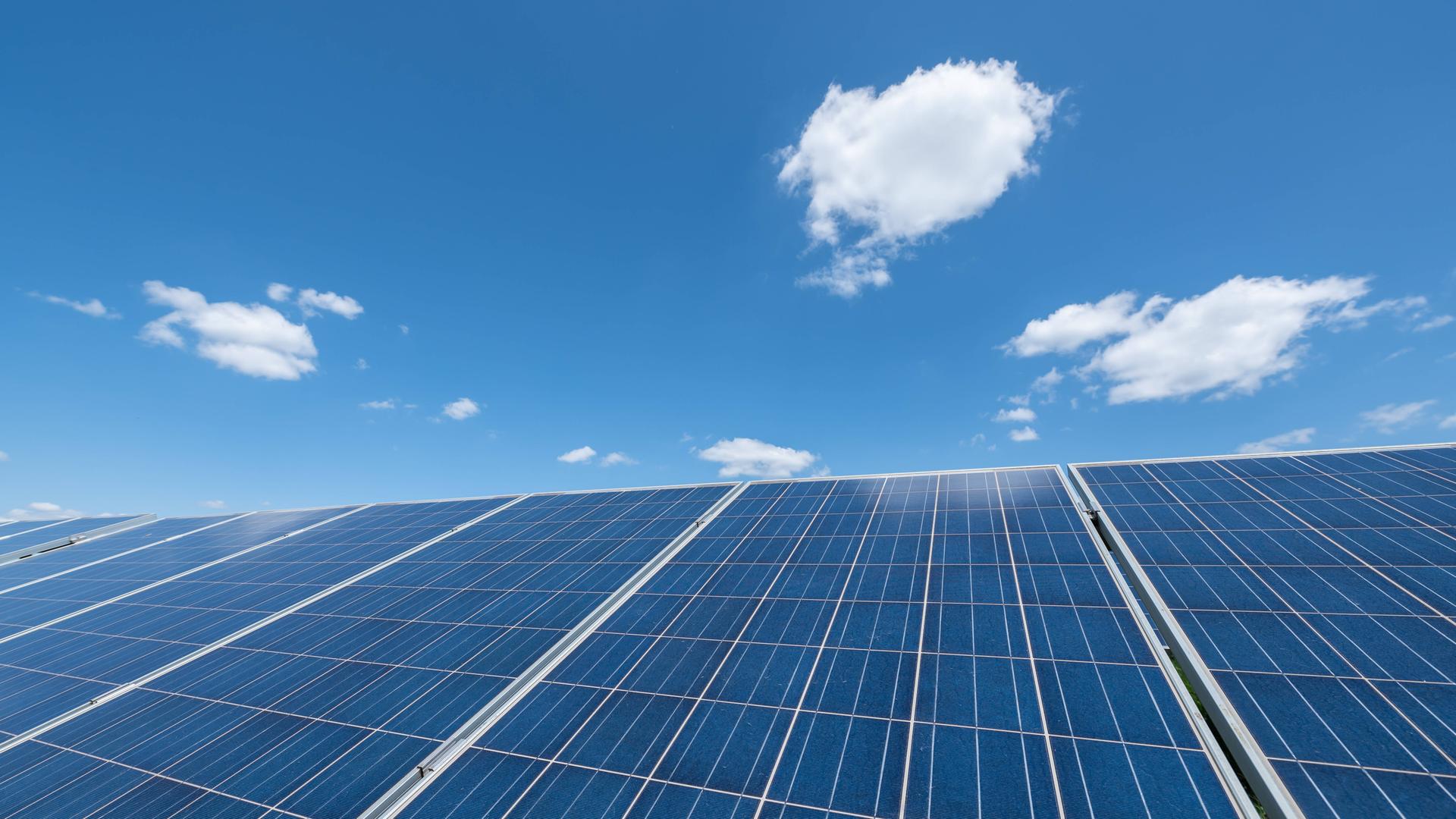 Typical: Photovoltaik-Freiflächenanlage