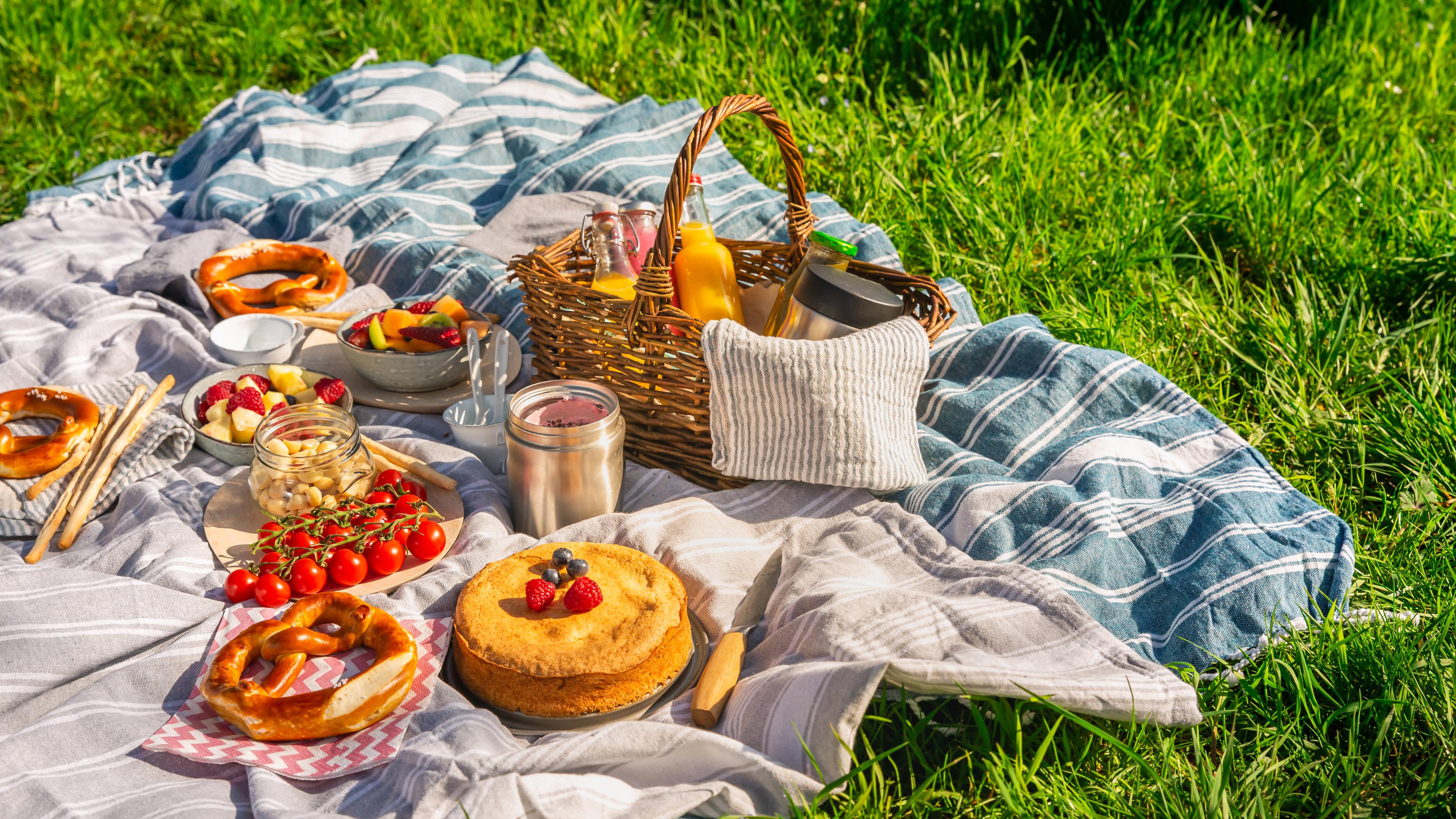 Eine Picknickdecke ausgebreitet auf einer Wiese, darauf ein Korb mit vielen verschiedenen Speisen, Obst, Gemüse und Kuchen
