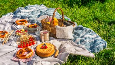 Eine Picknickdecke ausgebreitet auf einer Wiese, darauf ein Korb mit vielen verschiedenen Speisen, Obst, Gemüse und Kuchen