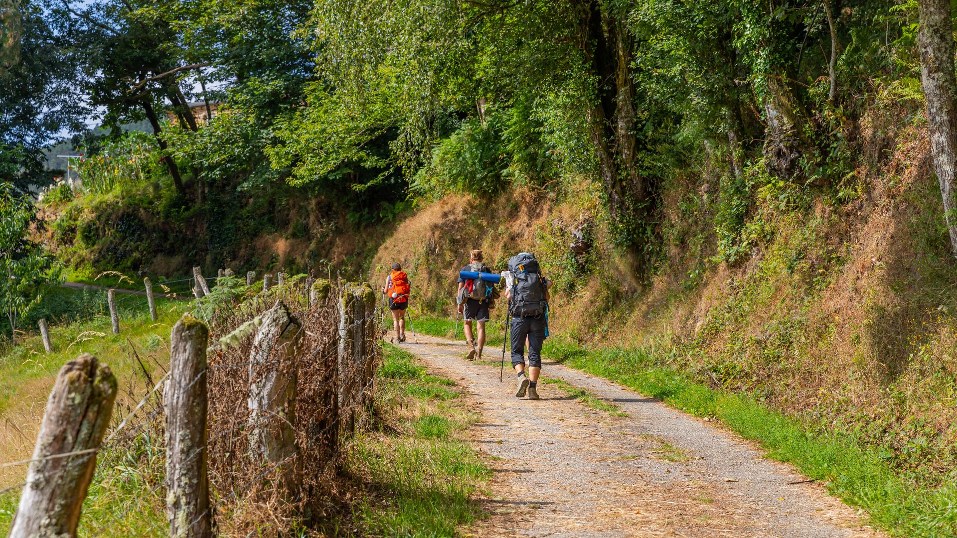 Pilger auf dem Jakobsweg nach Santiago de Compostela in Galicien, Spanien.