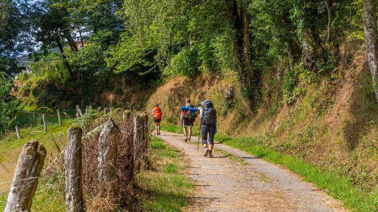 Pilger auf dem Jakobsweg nach Santiago de Compostela in Galicien, Spanien.