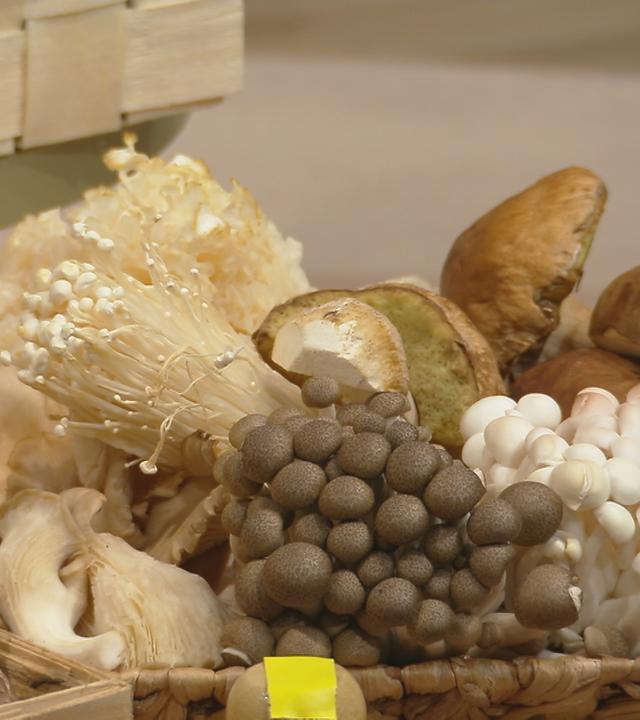 Verschiedene Pilze in einem Korb
