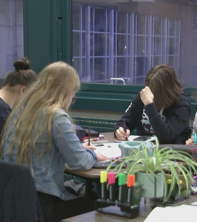 Pisa-Studie