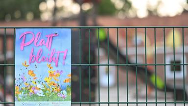 Niedersachsen, Moormerland: "Platt bleiht" (Plattdeutsch blüht) steht auf einem Plakat das auf den Aktionsmonat an einer Grundschule aufmerksam macht.