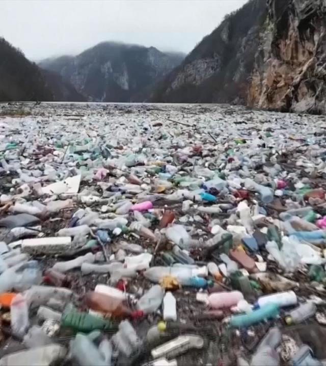 Plastikmüll