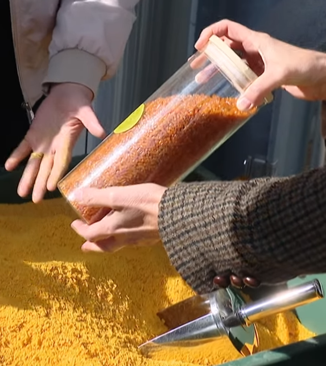 Das Startup traceless materials stellt Plastik aus Pflanzenresten her.