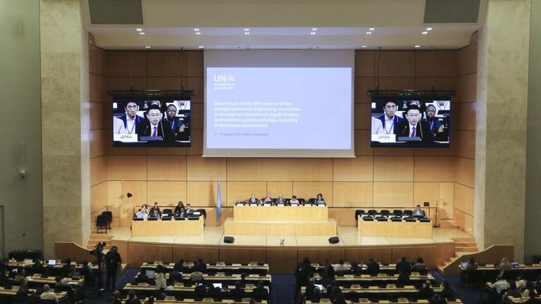 The U.N. International Negotiating Committee holds a plenary session in Geneva