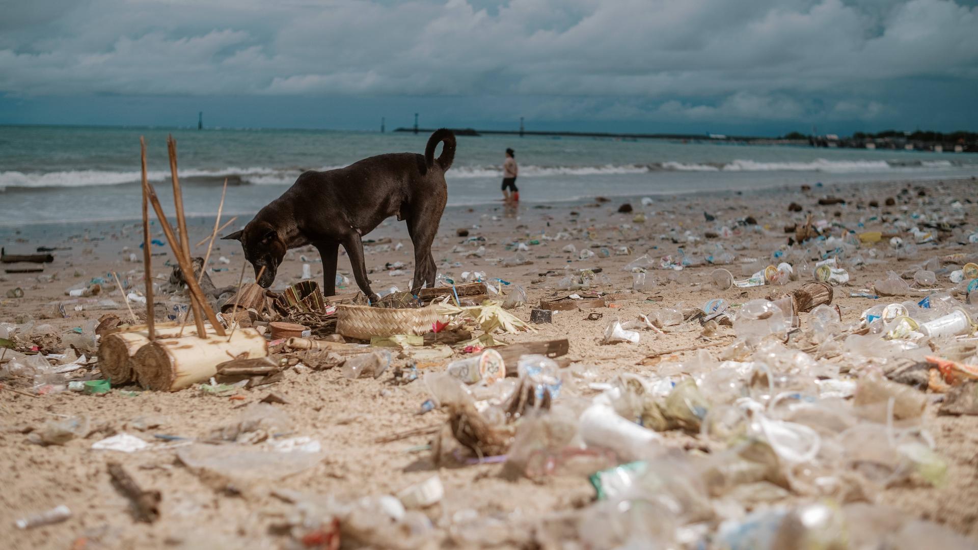 Plastikmüll an einem Strand auf Bali, Indonesien, am 30.03.2025.