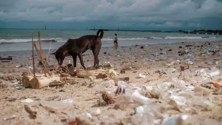 Plastikmüll an einem Strand auf Bali, Indonesien, am 30.03.2025.