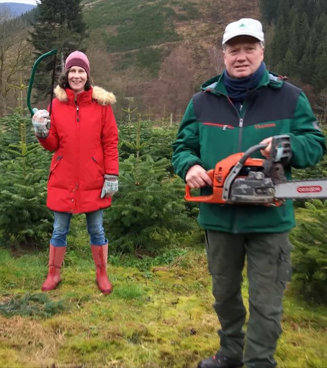 Platz im Garten: Tannebäume