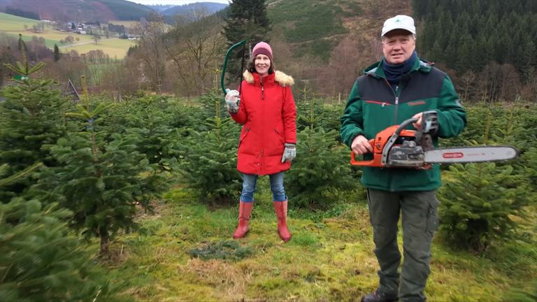 Platz im Garten: Tannebäume