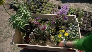 Platz im Garten