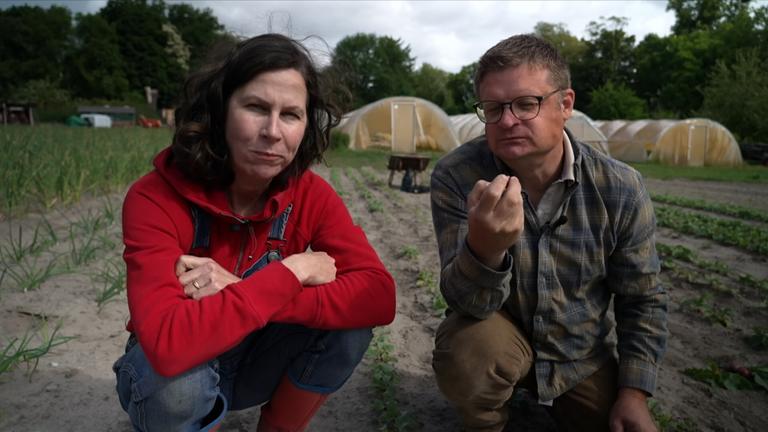Platz im Garten: Gemüseanbau für Anfänger