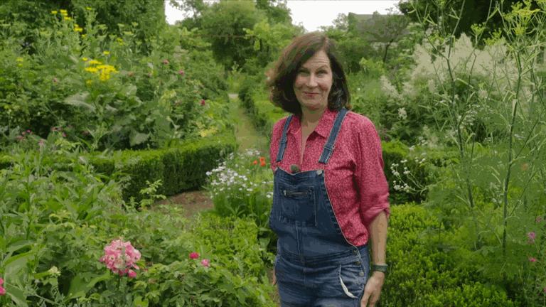 Platz im Schlossgarten: Schloss Dyck