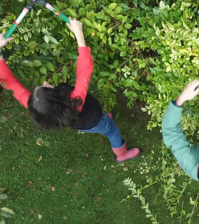 Platz im Garten: Sträucher beschneiden