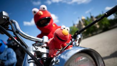 Plüsch statt Leder: Biker-Elmo sorgt für gute Laune
