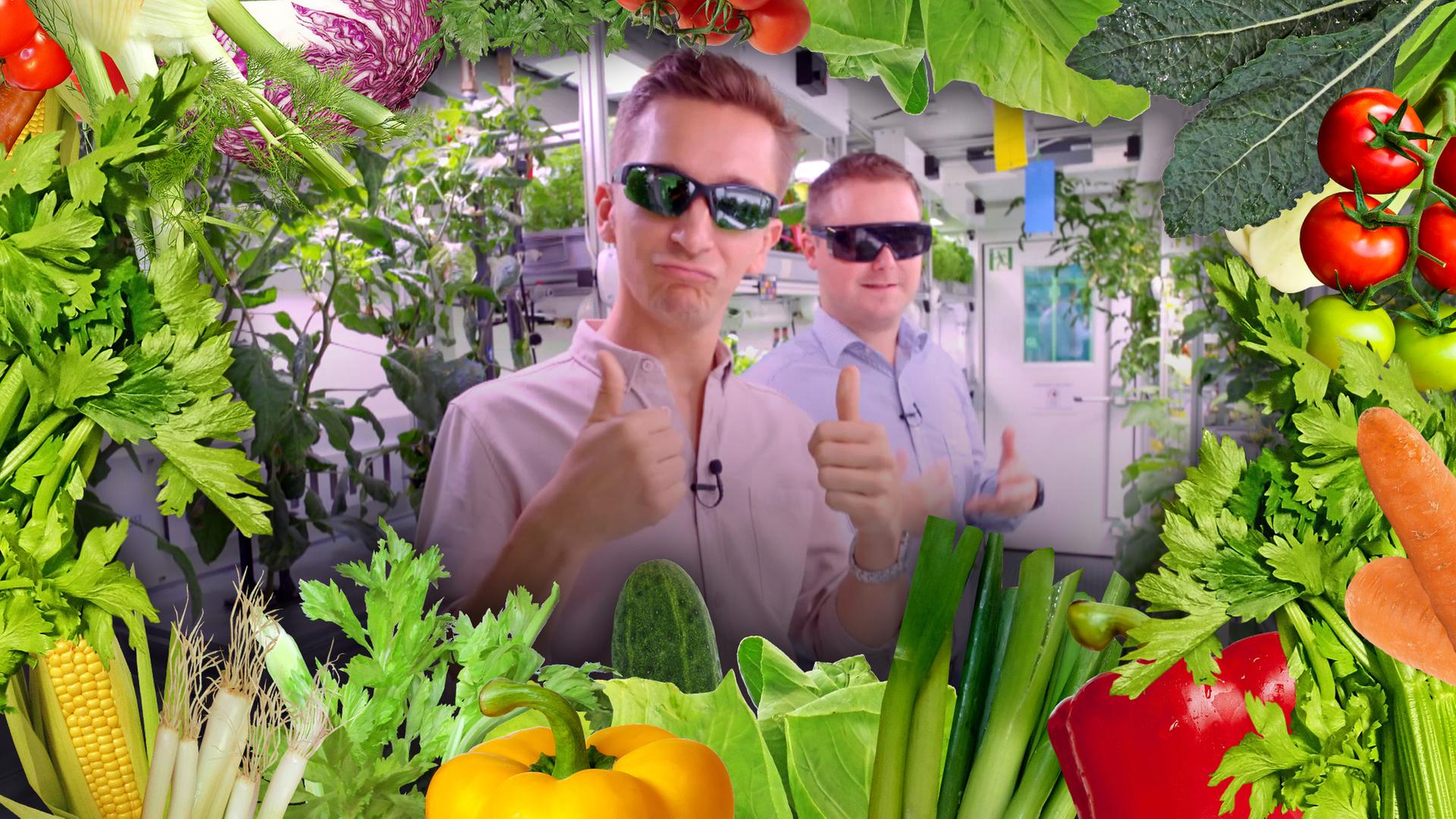 Ernährung der Zukunft