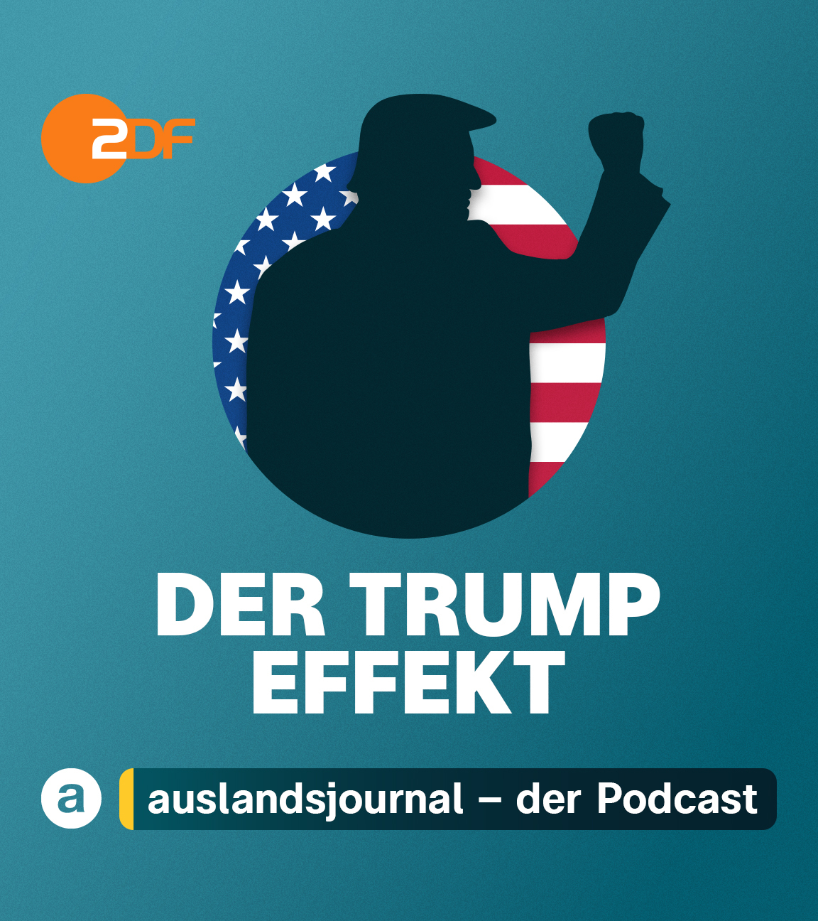 Donald Trump mit erhobener Faust als Schattenriss vor US-Flagge, rechts Foto von Trump in langem schwarzem Mantel mit zum Gruß gehobener Hand
