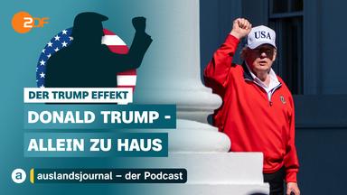 Donald Trump mit erhobener Faust als Schattenriss vor US-Flagge, darunter Schriftzug: "Der Trump Effekt - Donald Trump - Allein zu Haus", rechts Donald Trump hebt die Faust in rotem Pullover und weißer Kappe mit USA-Schriftzug