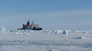 Das Forschungsschiff "Polarstern" erkundet das Weddellmeer.