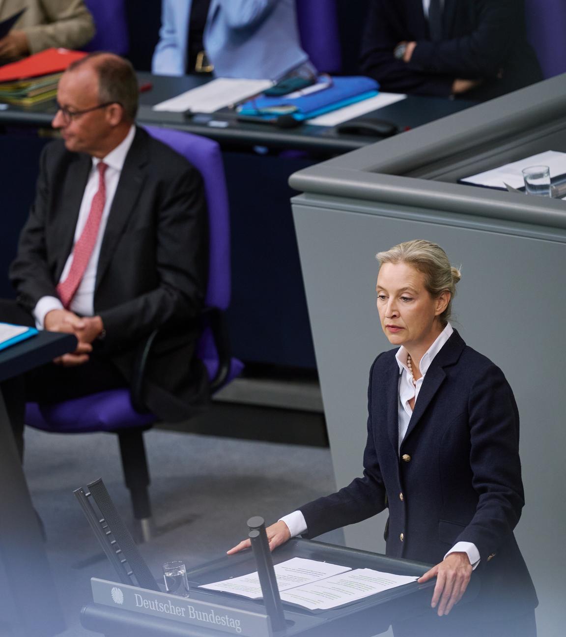 Friedrich Merz und Alice Weidel in einem Bildausschnitt von dem Bundestag