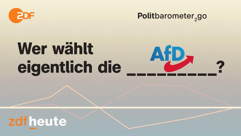 Politbarometer2go: Wer wählt eigentlich die AfD? 