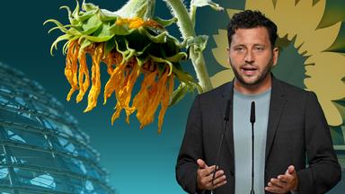 Grüne: Trotz Extremwetter kein Hoch