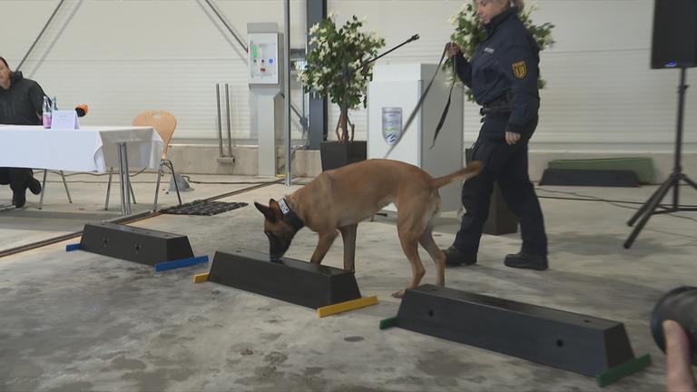 Auf dem Bild sieht man einen Polizei-Spürhund.