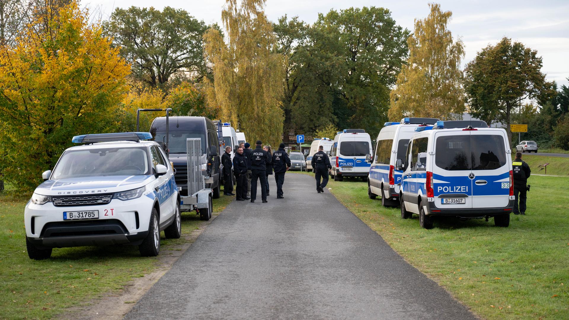 Brandenburg, Herzberg: Polizeiautos stehen auf einer Wiese.