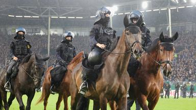 Ausschreitungen der Fanlager beim DFB-Pokal: die Polizei muss u.a. mit Pferden am 22.08.2026 in Mannheim eingreifen.