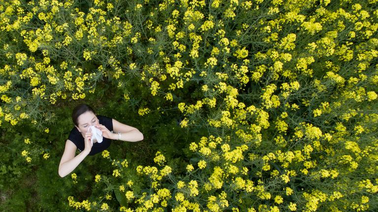 Eine junge Frau hält sich ein Taschentuch vor die Nase, während sie in einem Rapsfeld steht. Archivbild