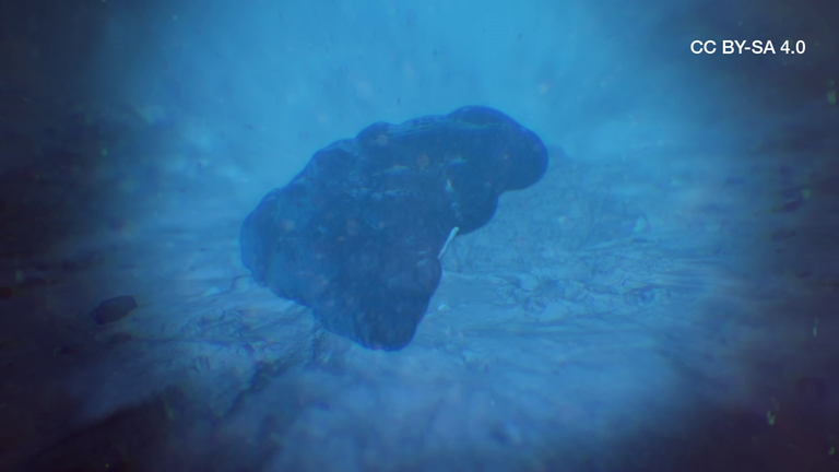 Polymetallknollen Thumb CC